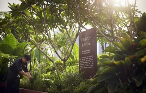 PARKROYAL COLLECTION Kuala Lumpur - 8