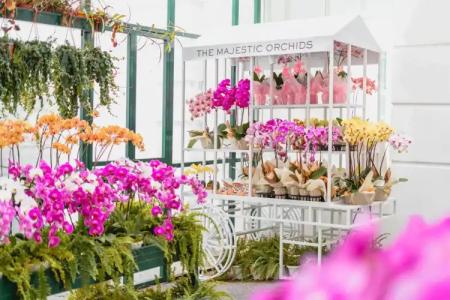 The Majestic Kuala Lumpur, Autograph Collection - 16