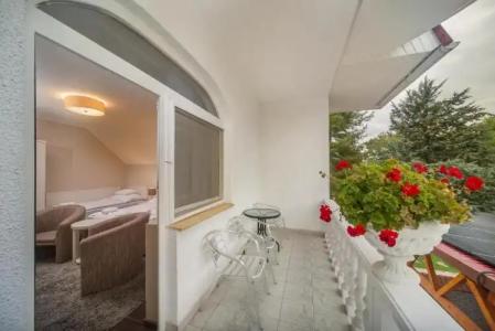 Tokajer Wellness Panzió - 30