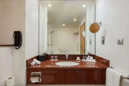 Radisson Blu, Muscat - 106