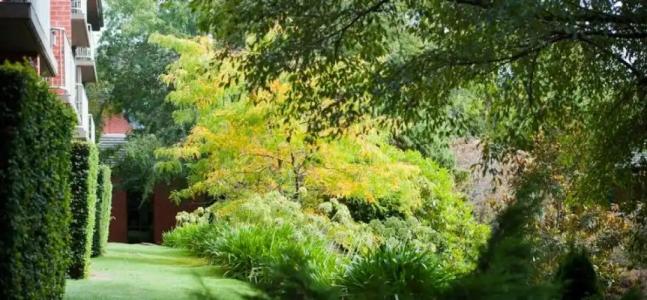 Country Club Tasmania - 46