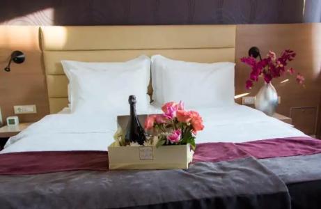 Srbija Garden Ex Garni - 119