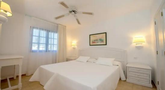 Relaxia Olivina - 54