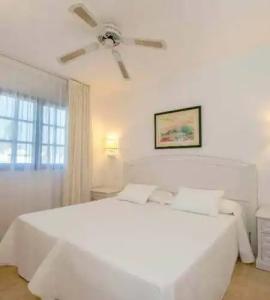 Relaxia Olivina - 51