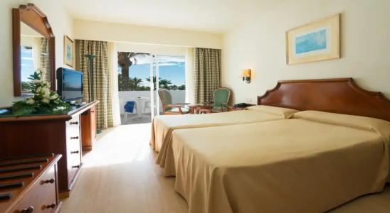 Relaxia Olivina - 49