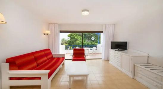 Relaxia Olivina - 55