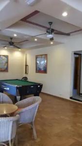 Relaxia Olivina - 17