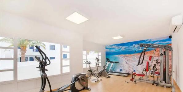 Relaxia Olivina - 20