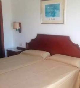 Relaxia Olivina - 45