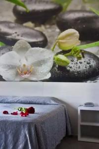 Amaraigua – All Inclusive – Adults Only - 85