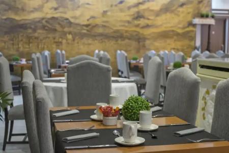 Sercotel President - 22