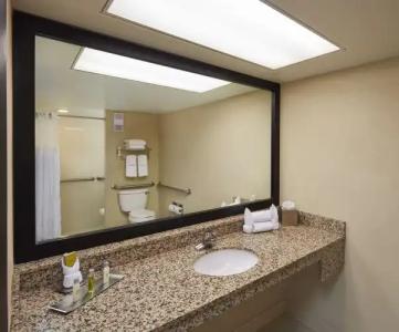 DoubleTree by Hilton Orlando at SeaWorld - 71