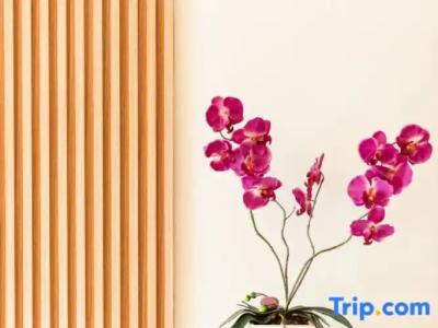 The Golden Ville Boutique and Spa - 158