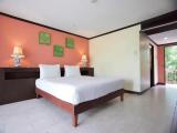 Standard Double room with balcony and with garden view