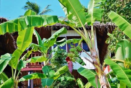Lamai Bay View Resort - 76