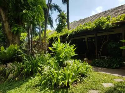 Montien House - SHA Plus - 37
