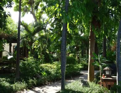 Montien House - SHA Plus - 44