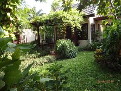 Montien House - SHA Plus - 36