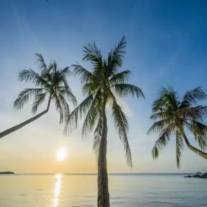 Samui Paradise Chaweng Beach Resort , SHA Plus - 23