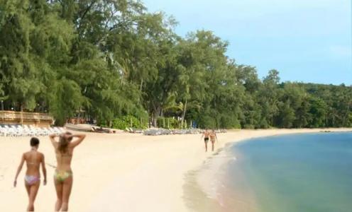 Paradise Island Estate - 29