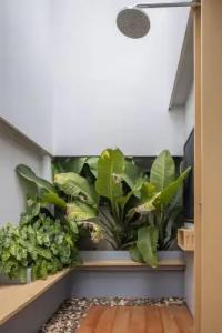 Baan Khao Hua Jook - 76