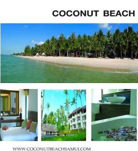 Coconut Beach Resort - 101
