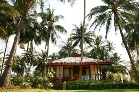 Lipa Lodge Beach Resort - 42