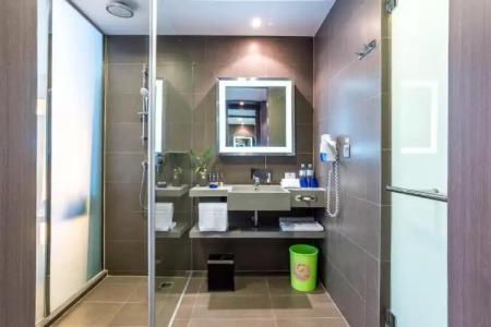 Novotel Bangkok Ploenchit Sukhumvit - 105