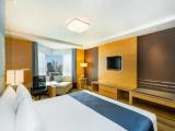 Premium Lounge Access Double room with city view