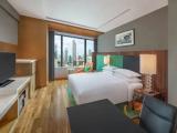 Double Studio Suite