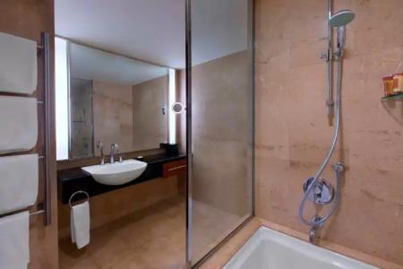 Royal Orchid Sheraton and Towers - 102