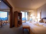 Executive Suite with river view