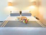 Standard Double room with garden view