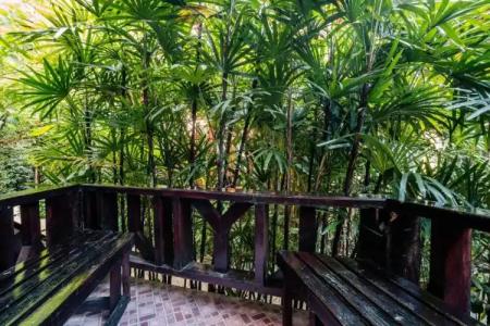 Phu Pha Aonang Resort & Spa - 115