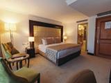 Luxury Suite