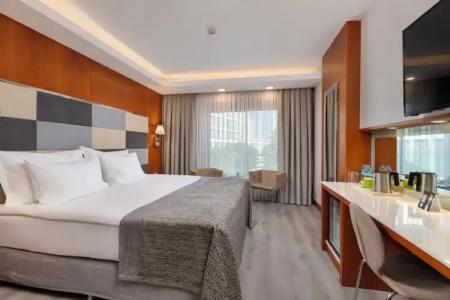 Limak Ambassadore Ankara - 101