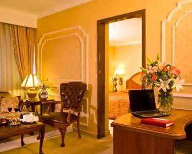 Altinel Ankara & Convention Center - 106