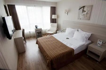 Ramada by Wyndham Ankara - 113