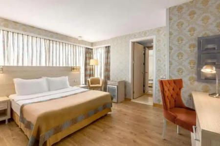Ramada by Wyndham Ankara - 103