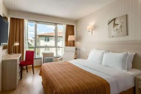 Ramada by Wyndham Ankara - 112