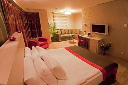Ramada by Wyndham Ankara - 132