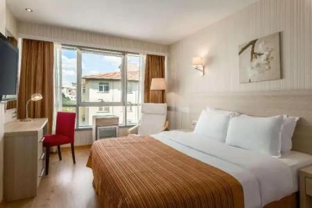 Ramada by Wyndham Ankara - 104