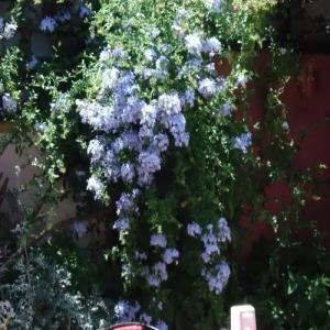 Sezgin Boutique - 15