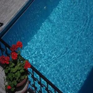 Sezgin Boutique - 19