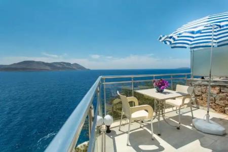 Cachet - Adult Only +14 - 48