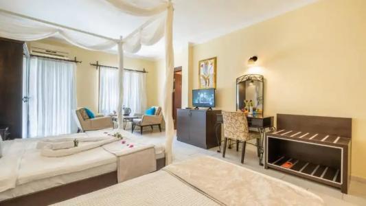 Cachet - Adult Only +14 - 72