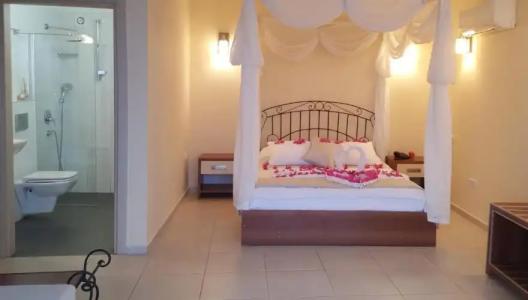 Cachet - Adult Only +14 - 66