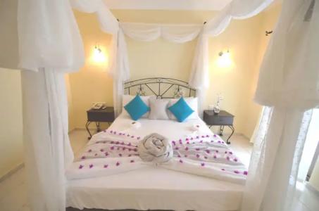 Cachet - Adult Only +14 - 5