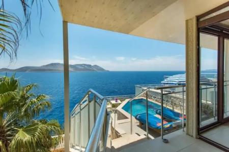 Cachet - Adult Only +14 - 51