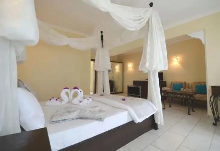 Cachet - Adult Only +14 - 2